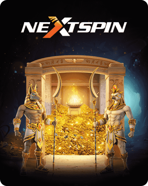 NEXT SPIN